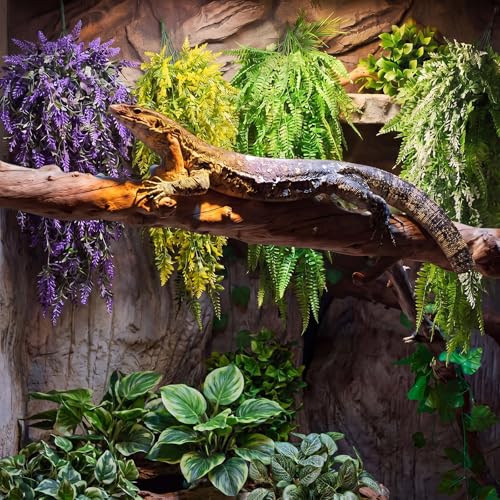 Suncalla Reptile Plants Terrarium Hanging Plants Vines Boston Climbing Terrarium Plant with Suction Cup for Bearded Dragons Lizards Crested Gecko Snake Crab Tank(Bright Series,5 Colors) - style: Bright Series