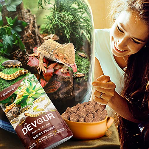 Gargeer Bugs and Insects Food. Complete Gel Diet for Roaches, Crickets, Worms, Dubia, Fly, etc. Made in The USA, Using Premium Nutritional Ingredients. 8oz Powder Turns into 2 Pound of Ready Food.… - size: 8 Ounce (Pack of 1)