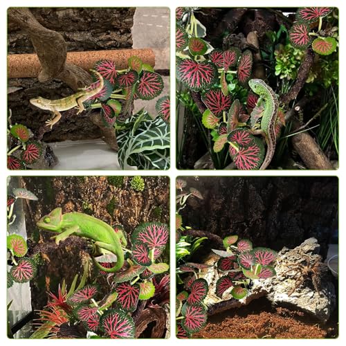 PINVNBY Flexible Bend-A-Branch Climbing Jungle Vines Reptile Plants for Terrarium Snake Enclosure Accessories for Leopard Crested Gecko Lizard Chameleon Frog (Red)