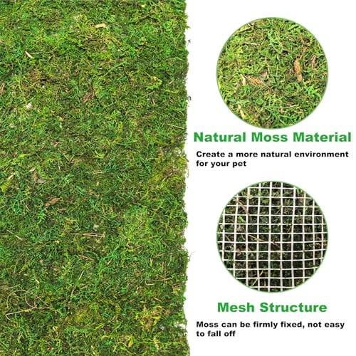 kathson Reptile Carpet, Natural Moss Mat for Terrarium, Bearded Dragon Tank Flooring Green Substrate Liner for Leopard Gecko Hermit Crab Lizard Tortoise (39.37" X 11.81")