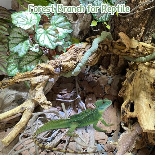 Reptile Cork Bark with Reptile Climbing Decor Thick Wood Branches Snake Habitat Decorations Terrarium Wooden Tree Trunk Ornament