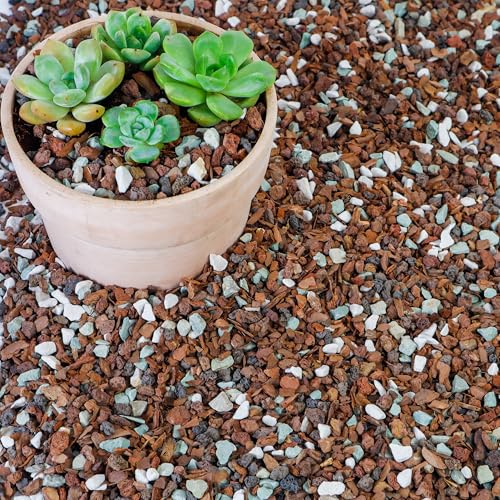 Bonsai Soil 10QT,Fast Draining Organic Potting Soil Mix Perlite,Lava,bark,Volcanic Rock,Green Zeolite,Premium Pre Mixed Bonsai Soil for Potted Plants - size: 10 Quart