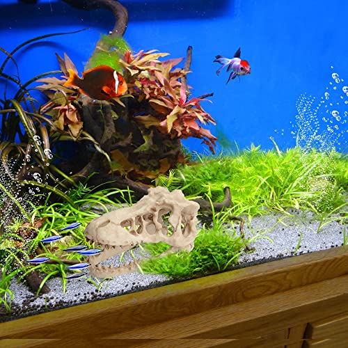 Fish Tank Decorations Dinosaur Skull Decor Resin Aquarium Decoration Accessories for Small Betta Fish, Hermit Crab Hideout Caves, Reptile House Ornament