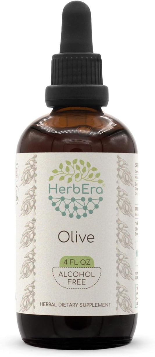 Olive B120 Alcohol-Free Herbal Extract Tincture, Concentrated Liquid Drops Natural Olive (Olea europaea) Dried Leaf 4 fl oz