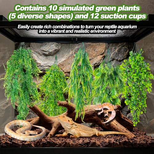CousDUoBe 10 Pcs Reptile Plants Decorations,Terrarium Hanging Plants Vines Artificial Leaves Habitat Decorations with Suction Cup for Bearded Dragon Hermit Crab Lizard Snake Geckos Chameleon