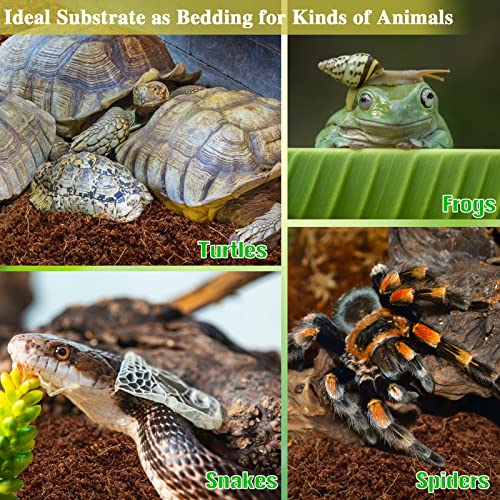 ZeeDix 4 Pack Coconut Fiber Substrate, 100% Organic Coconut Husk Coco Coir Brick Terrarium Bedding for Reptiles, Tortoise, Bearded Dragon, Leopard Gecko, Snake, Hermit Crabs, Frogs, Tarantula - color: 4pcs