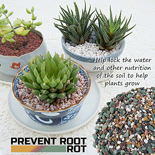 2LBS Horticultural Succulent Rocks Bonsai Mix Succulent Potting Mix Lava Rocks Cactus Soil Potting Mix Amendment - color: Mix Pebbles