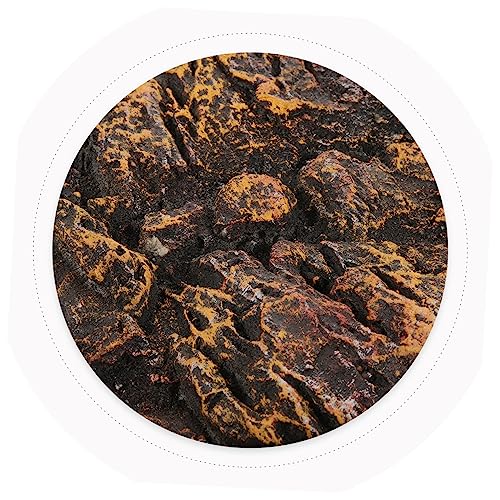 BESPORTBLE Reptile Snake Tank Backdrop 3D Aquarium Decor Terrarium Rock Easy to Assemble Durable Decorative Panels