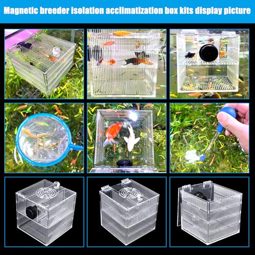 Magnetic Fish Breeder Box for Isolation Boxes Acclimation Hatchery breeding Incubator for Guppy Baby Betta Shrimp Saltwater Clownfish Coral Anemones Aggressive or Injured Fishes