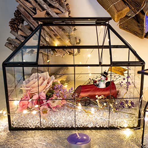 Ferrisland Glass Terrarium Greenhouse House Shape Display Box Planter for Succulents Plant Terrarium Container Mordern Tabletop Decor Gardern DIY Kit - size: 9.1"L x 7.3"H 5.4"W