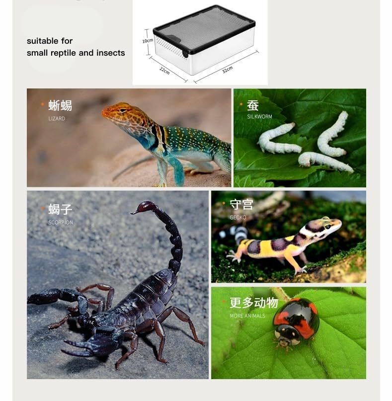 AWXZOM Reptile Feeding Box Clear Terrarium for Geckos, Frog, Lizards, Chameleons, Serpents, Scorpion, Snail, Insect, Hermit Crab, Isopods - 12.6x8.6x3.9inch