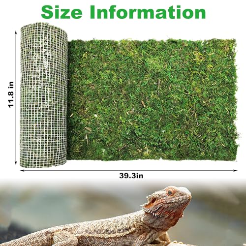 kathson Reptile Carpet, Natural Moss Mat for Terrarium, Bearded Dragon Tank Flooring Green Substrate Liner for Leopard Gecko Hermit Crab Lizard Tortoise (39.37" X 11.81")
