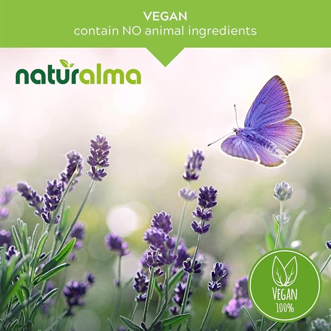 Naturalma Milk Thistle (Silybum marianum) Fruit and herb Alcohol-Free Tincture - 16.9 fl oz Liquid Extract in Drops - Herbal Supplement - Vegan
