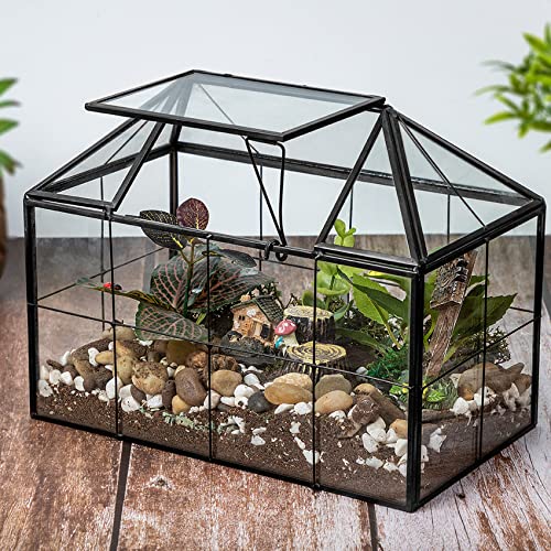 Ferrisland Glass Terrarium Greenhouse House Shape Display Box Planter for Succulents Plant Terrarium Container Mordern Tabletop Decor Gardern DIY Kit - size: 9.1"L x 7.3"H 5.4"W