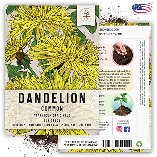 Seed Needs Dandelion Seeds to Plant Heirloom & Non-GMO Herbs 1 Pack - size: 1 Pack, style: Common Dandelion