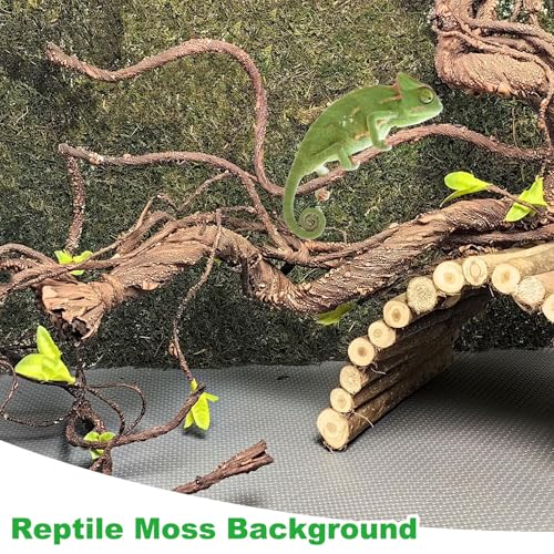 kathson Reptile Carpet, Natural Moss Mat for Terrarium, Bearded Dragon Tank Flooring Green Substrate Liner for Leopard Gecko Hermit Crab Lizard Tortoise (39.37" X 11.81")