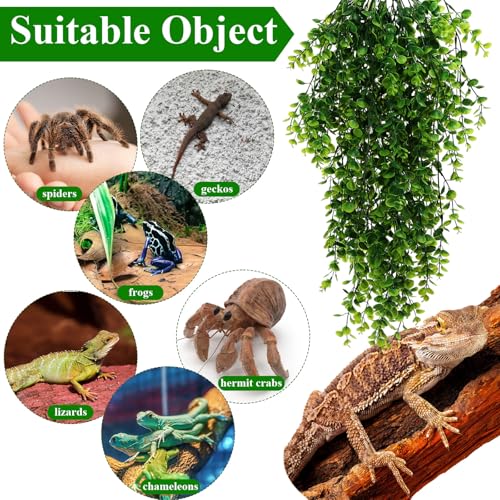 Suncalla Reptile Plants Terrarium Hanging Plants Vines Boston Climbing Terrarium Plant with Suction Cup for Bearded Dragons Lizards Crested Gecko Snake Crab Tank(Classic Series,Light Dark Green) - style: Classic Series