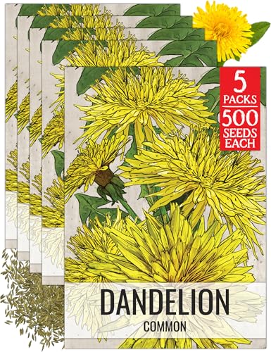 Seed Needs Dandelion Seeds to Plant Heirloom & Non-GMO Herbs 5 Packs - size: 5 Packs, style: Common Dandelion