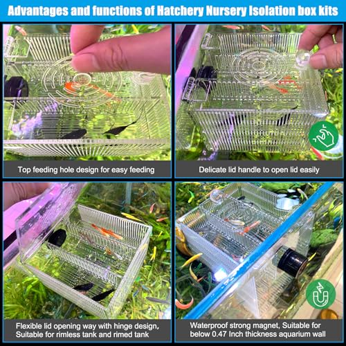 Magnetic Fish Breeder Box for Isolation Boxes Acclimation Hatchery breeding Incubator for Guppy Baby Betta Shrimp Saltwater Clownfish Coral Anemones Aggressive or Injured Fishes