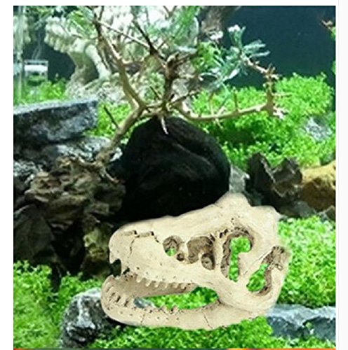 Hewnda Aquarium Decoration Skeleton Hole Resin Artificial Dinosaur Skull Skeleton Ornament - Fish Tank Small Skull Aquarium Decorations cave Landscape pet Reptile House