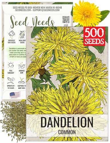 Seed Needs Dandelion Seeds to Plant Heirloom & Non-GMO Herbs 1 Pack - size: 1 Pack, style: Common Dandelion
