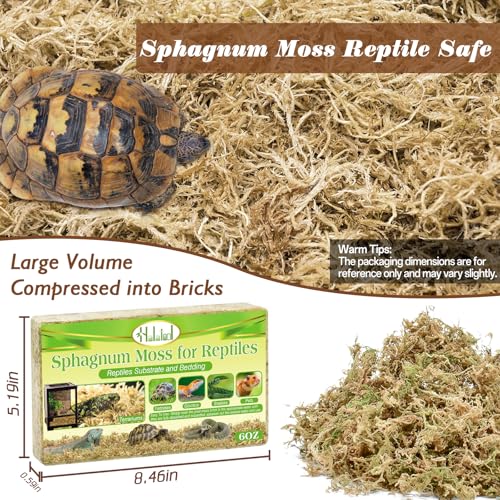 Halatool 6OZ Natural Sphagnum Moss Substrate for Reptiles - Terrarium Bedding with 72H Moisture Retention, Safe for Bearded Dragons, Geckos & Snake Shedding - size: 6 OZ