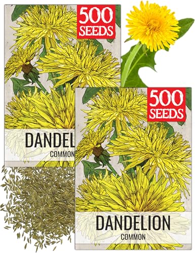 Seed Needs Dandelion Seeds to Plant Heirloom & Non-GMO Herbs 2 Packs - size: 2 Packs, style: Common Dandelion