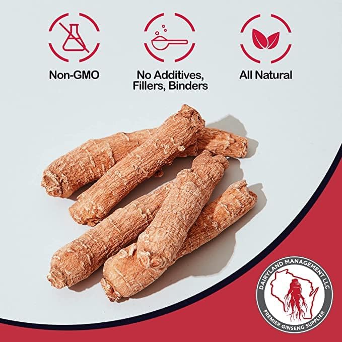 16 oz Pack of Korean Panax Ginseng Root - Authentic Panax Ginseng - Non-GMO, Gluten Free Ginseng Root - Use Ginseng in Soup, Tea, Congee