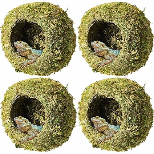 Tinideya 4 Pcs Mossy Cave Hide Artificial Green Reptile Mossy Hideout 4 Inch Humidity Crested Gecko Tank Decor for Pet Reptile Frogs Snakes Turtle Spider Lizard Chameleon, Terrarium Vivarium Decor