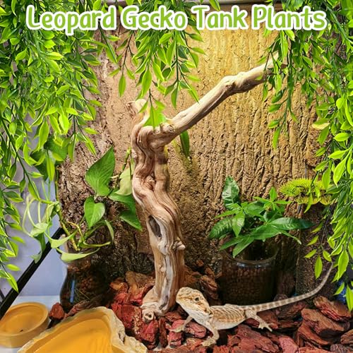 Hamiledyi 5 Pcs Reptile Plants Terrarium Hanging Fake Plant Leaves and Tank Habitat Decorations 2 PCS Terrarium Hanging Plants for Lizard, Snake, Bearded Dragon, Leopard Gecko