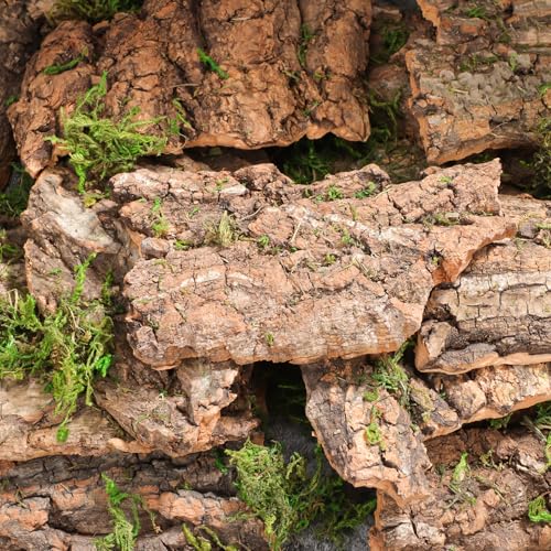 14Pcs Natural Cork Bark Reptile Bark Decor and Hideout 5.11X2.95In Climbing Platform for Leopard Gecko Snake and Lizard Habitat Accessories
