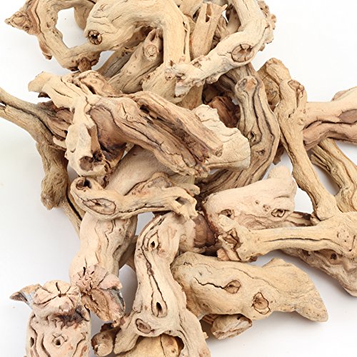 Koyal Wholesale Natural Grapewood Vase Filler Decor, 2.2-Pounds Bulk Vase Filler Branches for Terrariums, DIY Air Plant Kits, Table Scatter