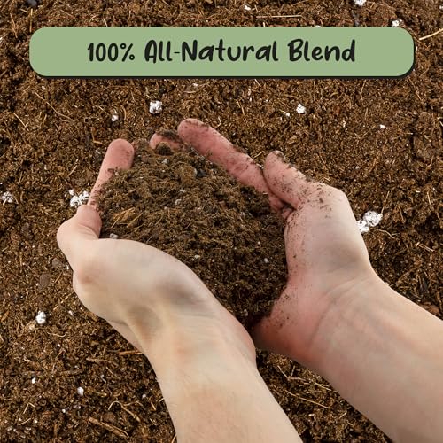 Soil Sunrise Monstera Houseplant Potting Soil Mix (12 Quarts) Custom Blend for Growing and Repotting - size: 12 Quarts