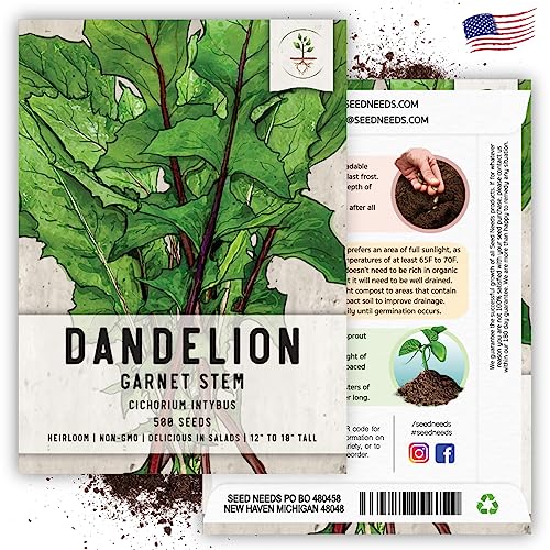 Seed Needs Garnet Stem Dandelion Seeds to Plant Heirloom & Non-GMO 5 Packs - size: 5 Packs, style: Garnet Stem Dandelion