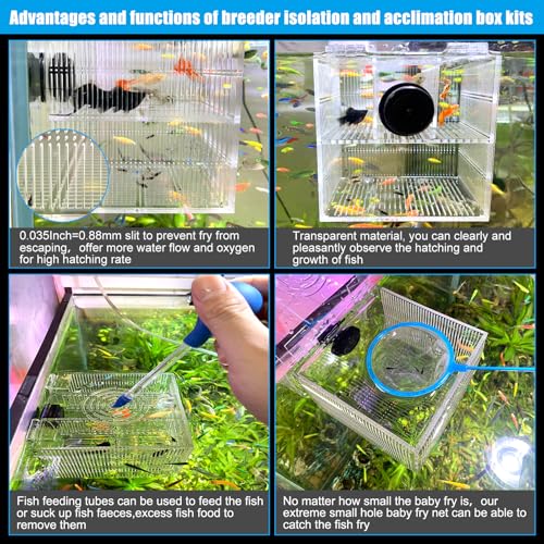 Magnetic Fish Breeder Box for Isolation Boxes Acclimation Hatchery breeding Incubator for Guppy Baby Betta Shrimp Saltwater Clownfish Coral Anemones Aggressive or Injured Fishes