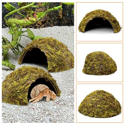 PINVNBY 2 Pack Natural Green Moss Hide Caves Coconut Reptile Hideouts Hamster Climbing Toys Gecko Habitat Decor Lizard Shell Shelter for Snake Tarantulas Turtle Chameleon - size: 2 PCS Moss Surface