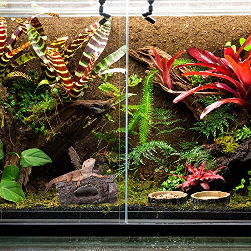 Reptile Hide & Food Bowls - Lizard Resin Hollow Tree Trunk Hideout, Bearded Dragon Tank Accessories - Water Dish Habitat Tank Decoration for Lizards, Snake, Gecko - 3 Pcs (Brown Rock)