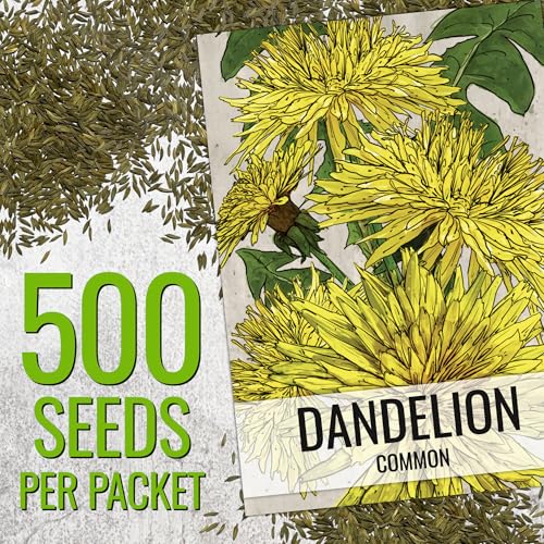 Seed Needs Dandelion Seeds to Plant Heirloom & Non-GMO Herbs 5 Packs - size: 5 Packs, style: Common Dandelion