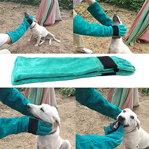AOWPFVV Long Sleeve Thick Leather Animal Handling Glove Anti Scratch Protective Gloves for Training Dog Cat Bird Snake Parrot Lizard Wild Animals Reptiles,Bite Resistant Gloves - color: Light Green Size Large 23.6in