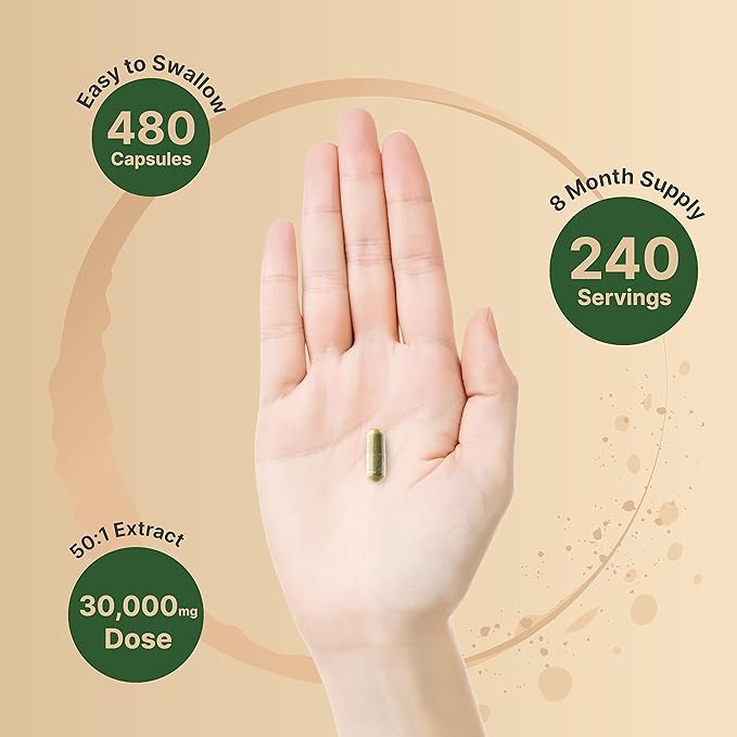 2 Pack Olive Leaf Extract 30000mg, 480 Total Capsules | 40% Active Oleuropein, 50:1 Herbal Equivalent – Rich in Polyphenol & Flavonoid Antioxidants for Immune & Heart Health – Non-GMO