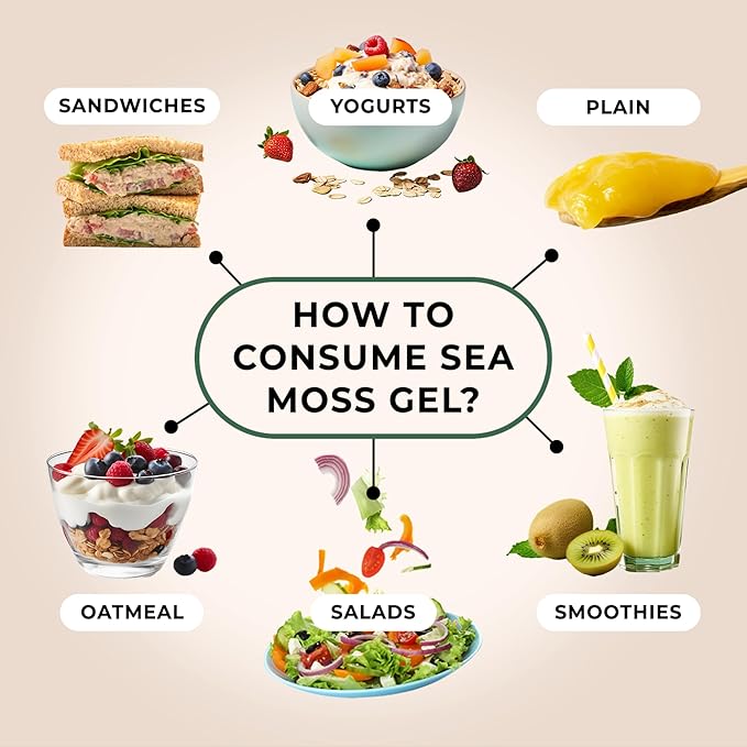 TrueSeaMoss Sea Moss Gel – Made in USA – Wildcrafted Seamoss, Fresh Fruits & Sea Vegetables – Lemon Pie, Pack of 2 (Labels may Vary)