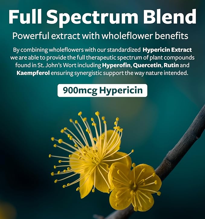 St. John's Wort - 60 Capsules (Non-GMO) Effective St Johns Wort Capsules - Powerful 900mcg Hypericin - Standardized Extract & Whole Herb Supplement - No Oil, Pills, Tea, Tincture - 500mg Per Capsule