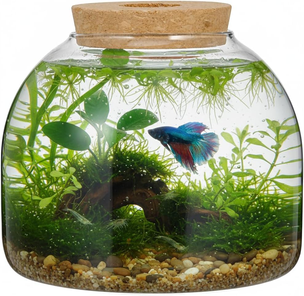 SUPVOX Glass Terrarium with Cork Lid - Glass Plant Terrarium, Plant Jar for Succulents & Small Fish Home & Office