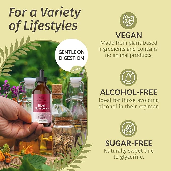 HERBAMAMA Black Elderberry Drops - Vegan Elderberry Liquid Extract for Immune Support - Non-GMO, Alcohol & Sugar-Free Immunity Supplement, 42-Day Supply