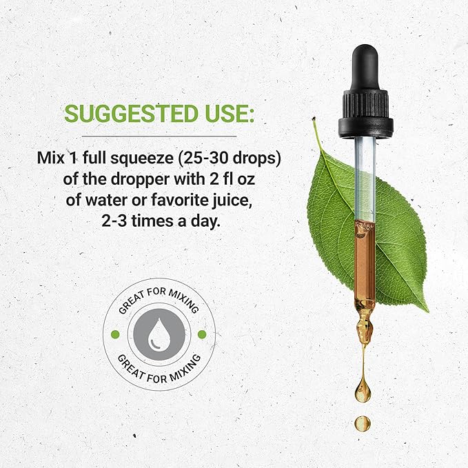 Secrets of the Tribe Oregon Grape Alcohol-Free Liquid Extract, Responsibly farmed Oregon Grape (Mahonia aquifolium) Dried Root (2 FL OZ)