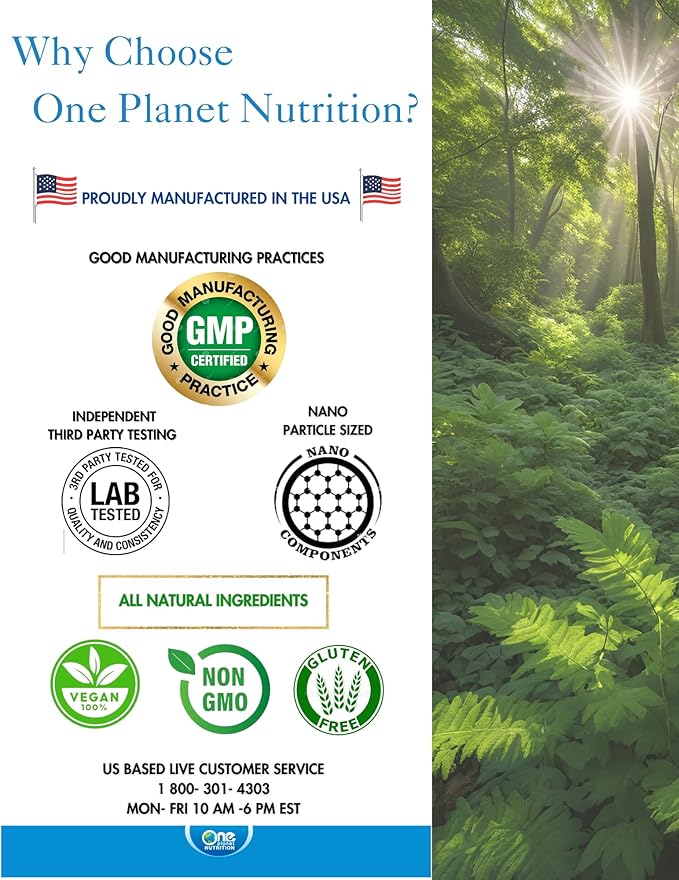 Nano Curcumin Plus 500 mg Veggie Capsules (120 Servings), Nano Curcumin with Boswellia for High Absorption, Supports Joint & Immune Health, Non-GMO, Vegan, Gluten-Free