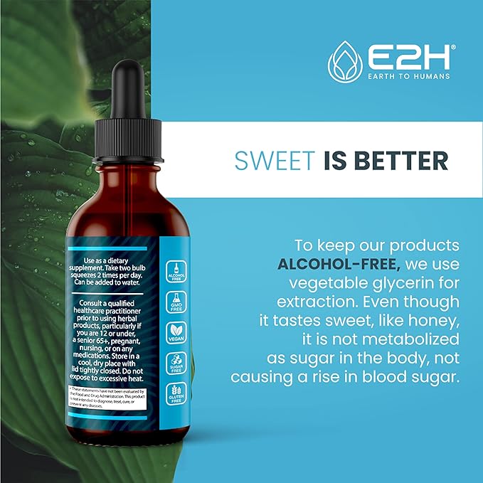 E2H Liver Support Supplement with Milk Thistle - Liver Cleanse Detox & Repair - Artichoke Extract, Dandelion Root, Chanca Piedra, and More - Absorbent Liquid Formula (3 Bottles)